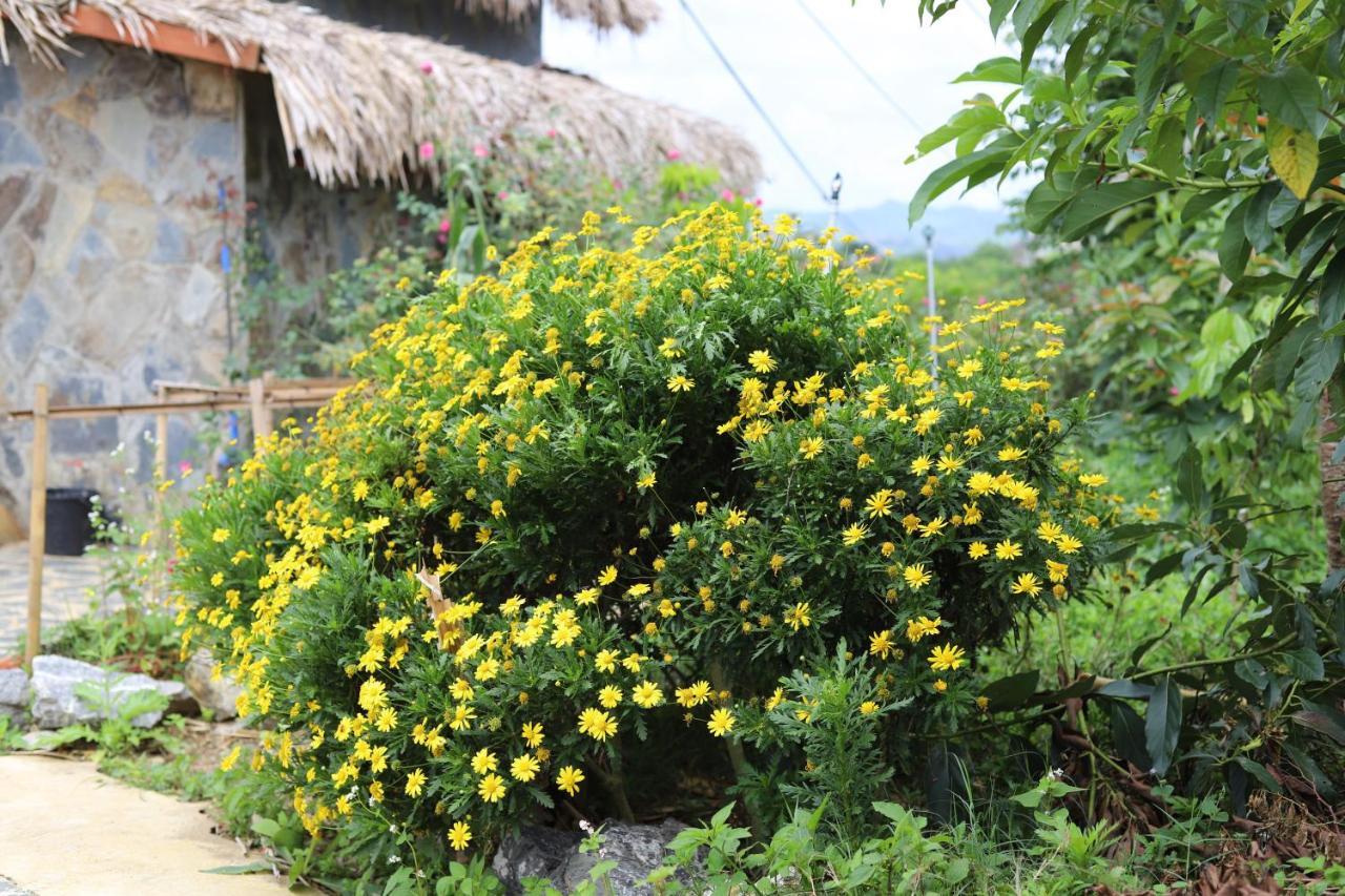 Peachy Garden Homestay *