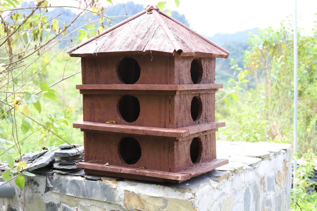 Homestay Peachy Garden