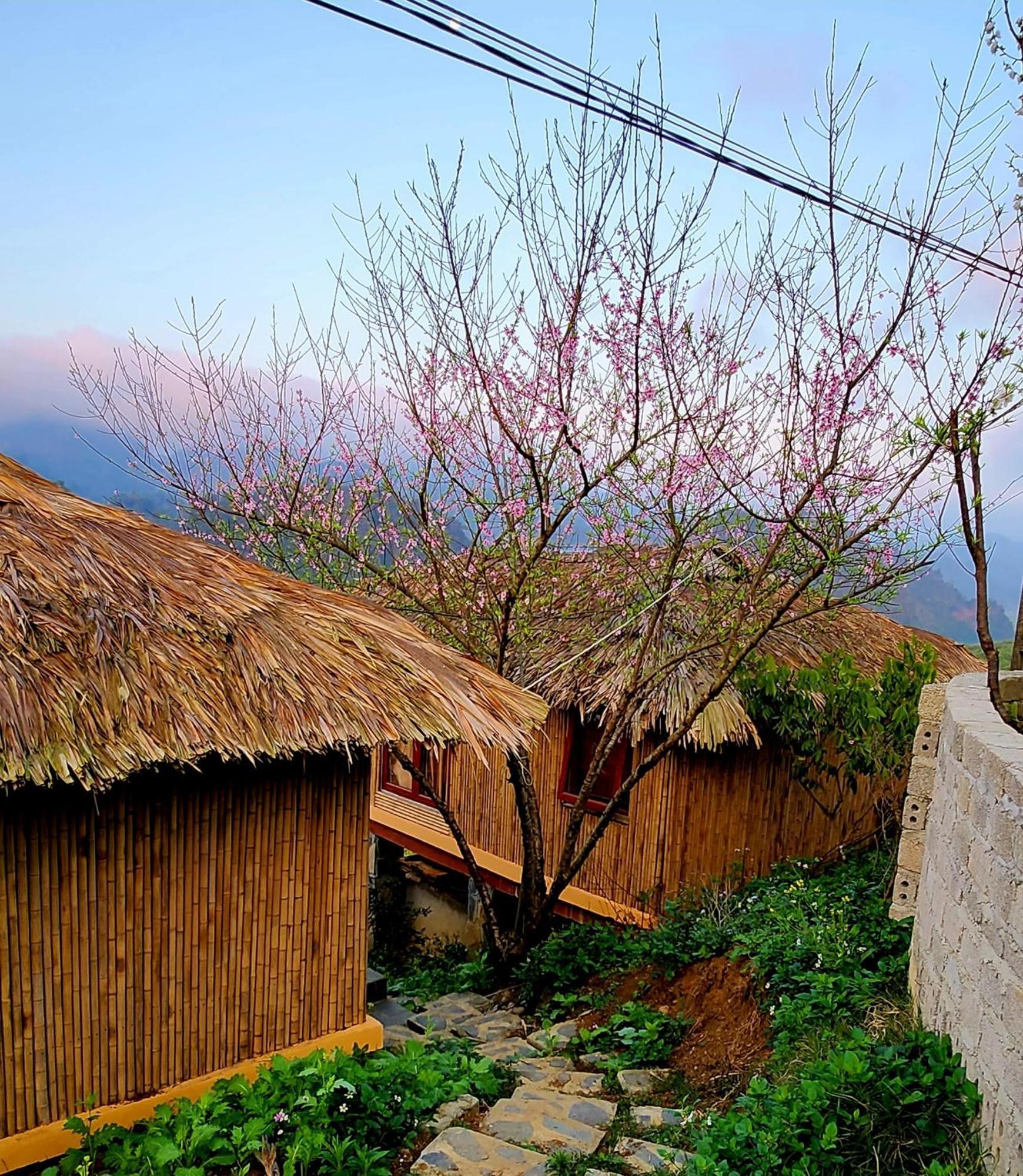Homestay Peachy Garden Moc Chau
