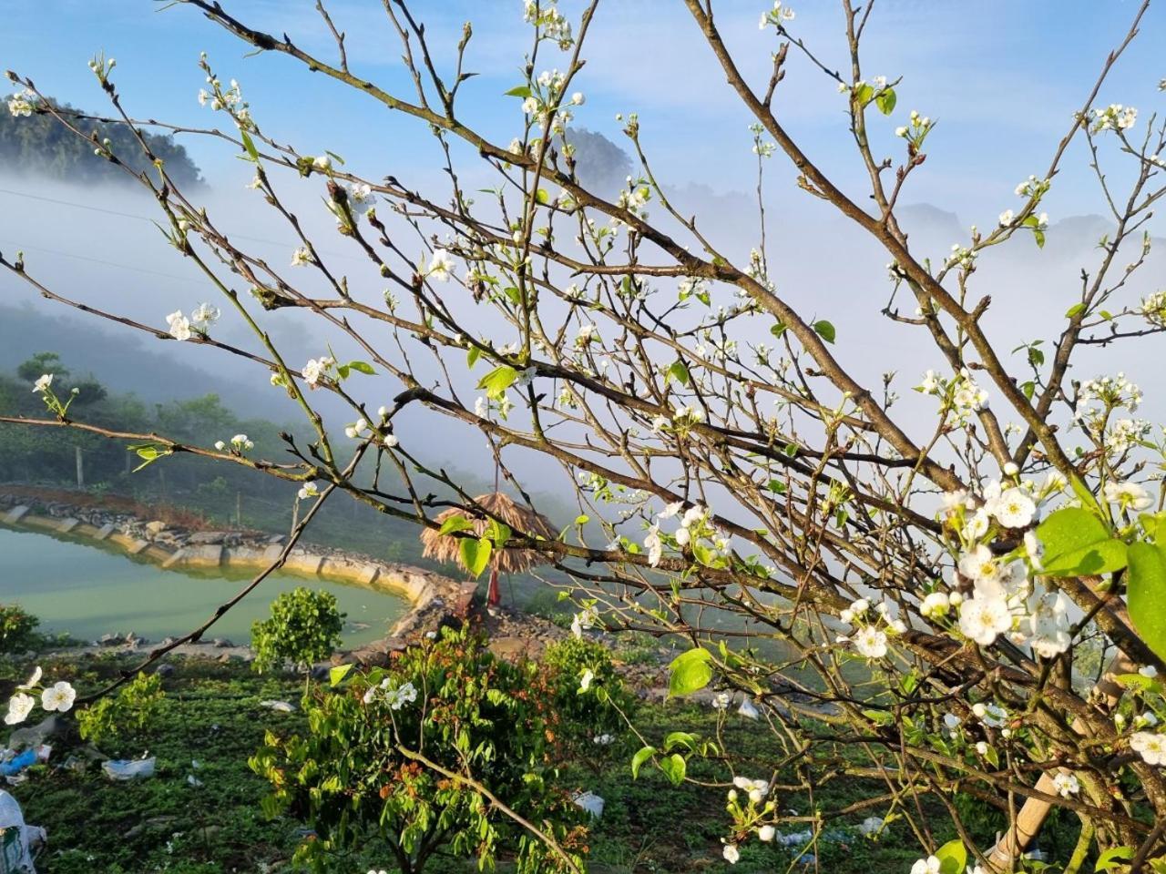 Peachy Garden Homestay Moc Chau